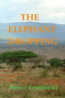 Elephant Dropping (9781301895199) Read online