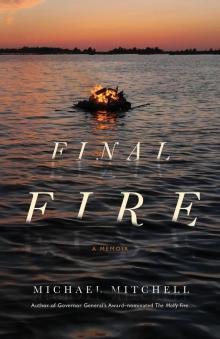Final Fire Read online