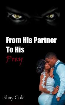 From His Partner to His Prey Read online