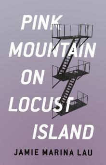 Pink Mountain on Locust Island Read online
