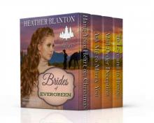 The Brides of Evergreen Box Set Read online