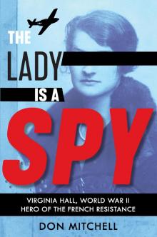 The Lady Is a Spy Read online