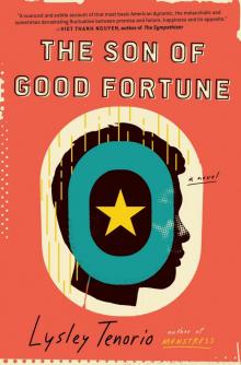 The Son of Good Fortune Read online