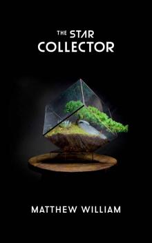 The Star Collector Read online