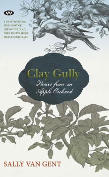 Clay Gully Read online
