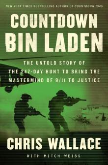 Countdown bin Laden Read online