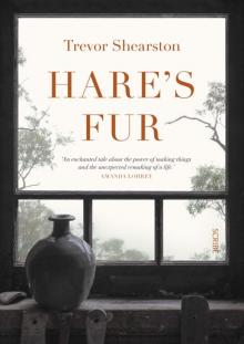 Hare's Fur Read online