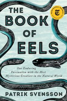 The Book of Eels Read online