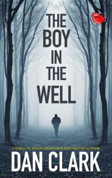 The Boy in the Well Read online