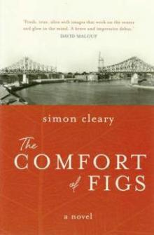 The Comfort of Figs Read online