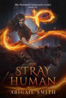 The Stray Human: A collage age urban fantasy with werewolves, werewolf community center book 1 Read online
