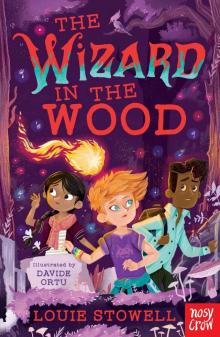 The Wizard in the Woods Read online