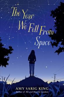 The Year We Fell From Space Read online