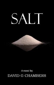 Salt Read online