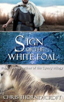 Sign of the White Foal Read online