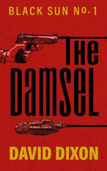 The Damsel Read online