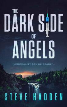 The Dark Side of Angels Read online
