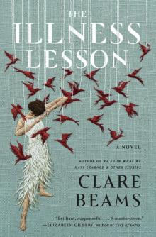 The Illness Lesson Read online
