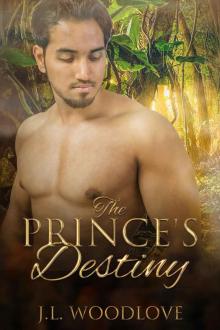 The Prince's Destiny Read online