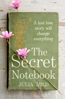 The Secret Notebook Read online