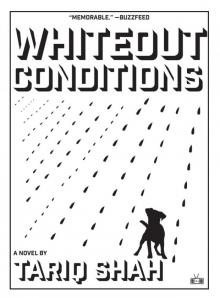 Whiteout Conditions Read online