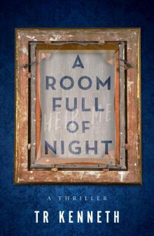 A Room Full of Night Read online