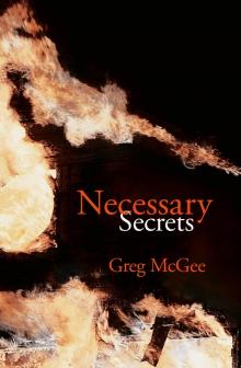 Necessary Secrets Read online