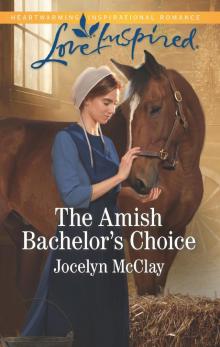 The Amish Bachelor's Choice Read online