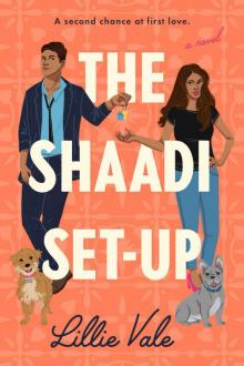 The Shaadi Set-Up Read online