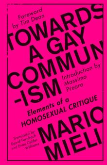 Towards a Gay Communism Read online