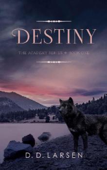 Destiny (The Academy Series Book 1) Read online