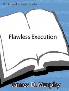 Flawless Execution Read online