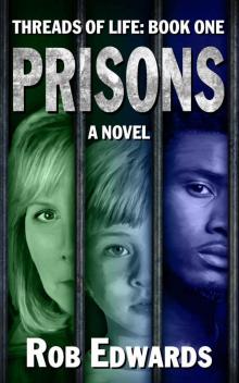 Prisons Read online