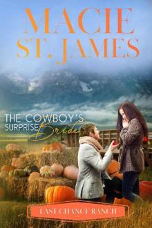 The Cowboy's Surprise Bride Read online