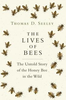 The Lives of Bees Read online