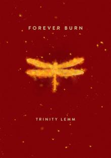 Forever Burn Read online