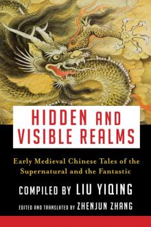 Hidden and Visible Realms Read online