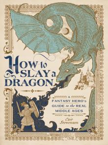 How to Slay a Dragon Read online