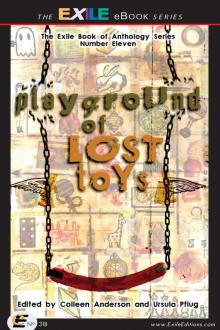 Playgroung of Lost Toys Read online