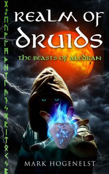 Realm of Druids Read online