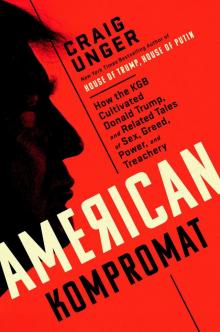 American Kompromat Read online