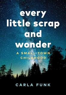 Every Little Scrap and Wonder Read online