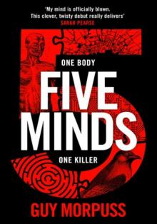 Five Minds Read online