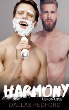 Harmony: A Bromance Read online