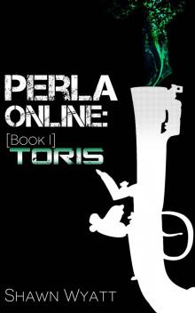 Perla Online, Book One: Toris (A LitRPG/GameLit Adventure) Read online