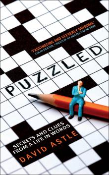 Puzzled Read online