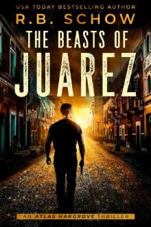 The Beasts of Juarez Read online