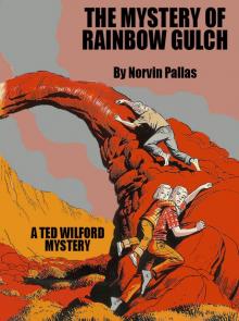 The Mystery of Rainbow Gulch Read online