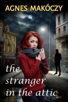 The Stranger in the Attic Read online