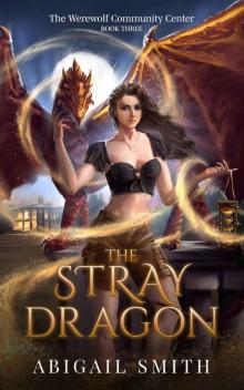The Stray Dragon : (A collage age urban fantasy with werewolves werewolf community center book 3) Read online